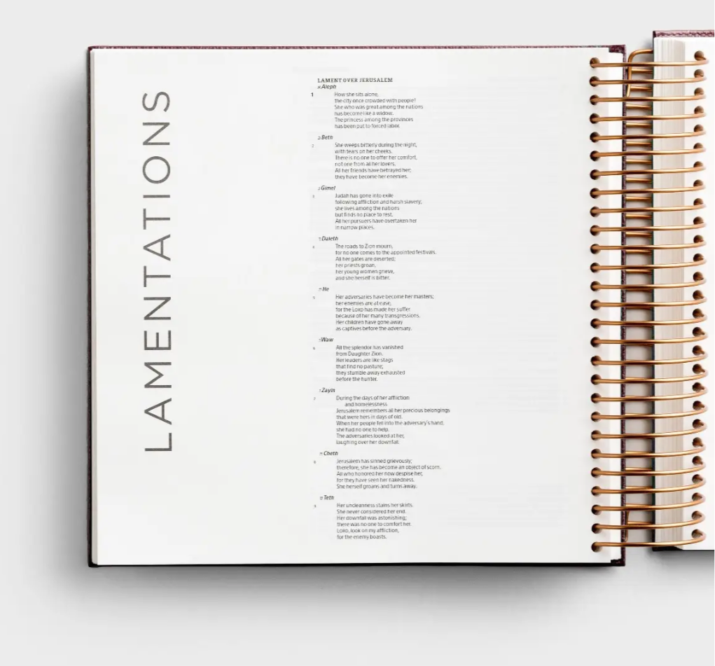 CSB - Illustrating Bible - Cranberry