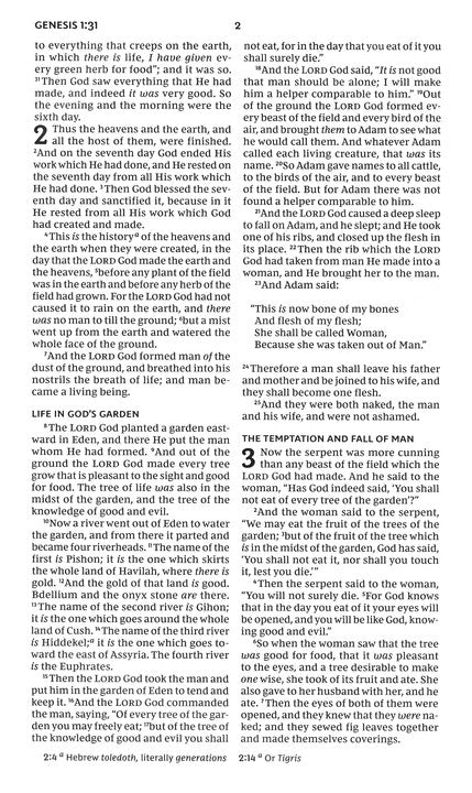NKJV Thinline Comfort Print Youth Bible--Leathersoft