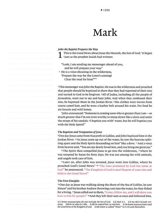 NLT Wide Margin Bible, Filament Enabled Edition
