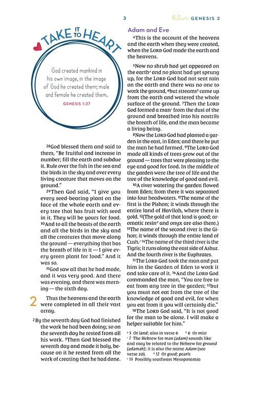 NIV, Kingdom Girls Bible, Comfort Print--hardcover