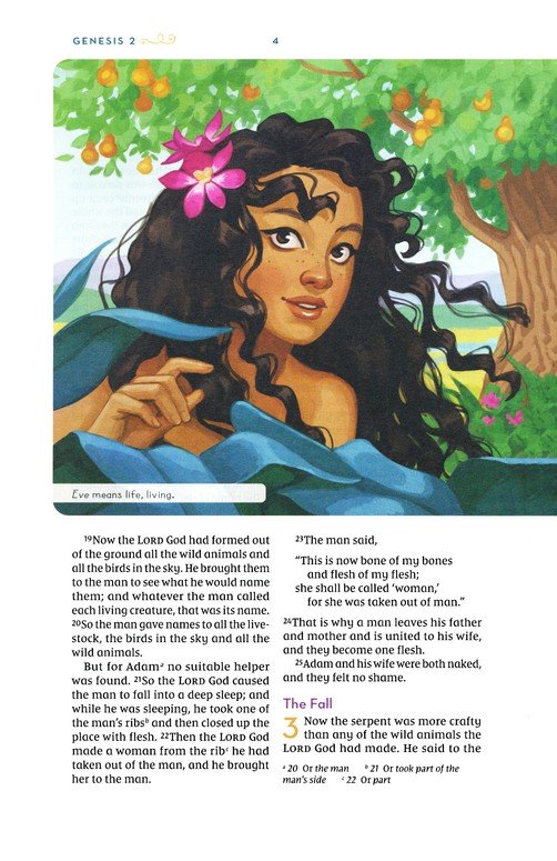 NIV, Kingdom Girls Bible, Comfort Print--hardcover