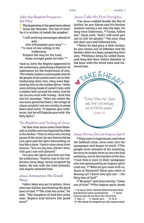 NIV, Kingdom Girls Bible, Comfort Print--hardcover