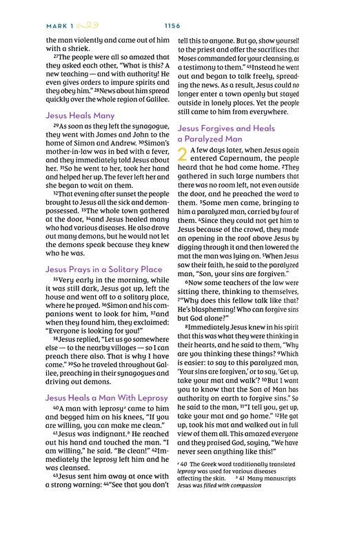 NIV, Kingdom Girls Bible, Comfort Print--hardcover