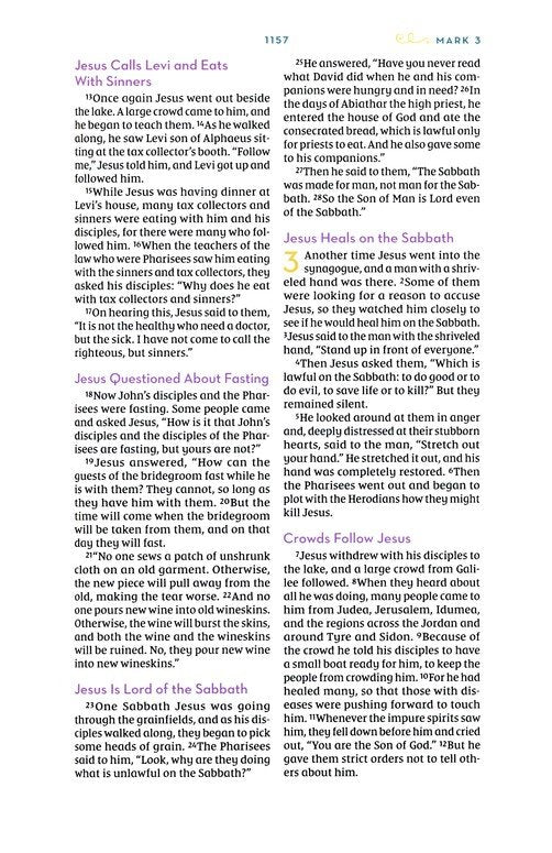 NIV, Kingdom Girls Bible, Comfort Print--hardcover