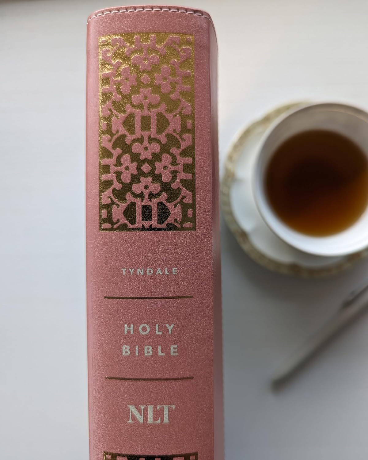 NLT Wide Margin Bible, Filament Enabled Edition