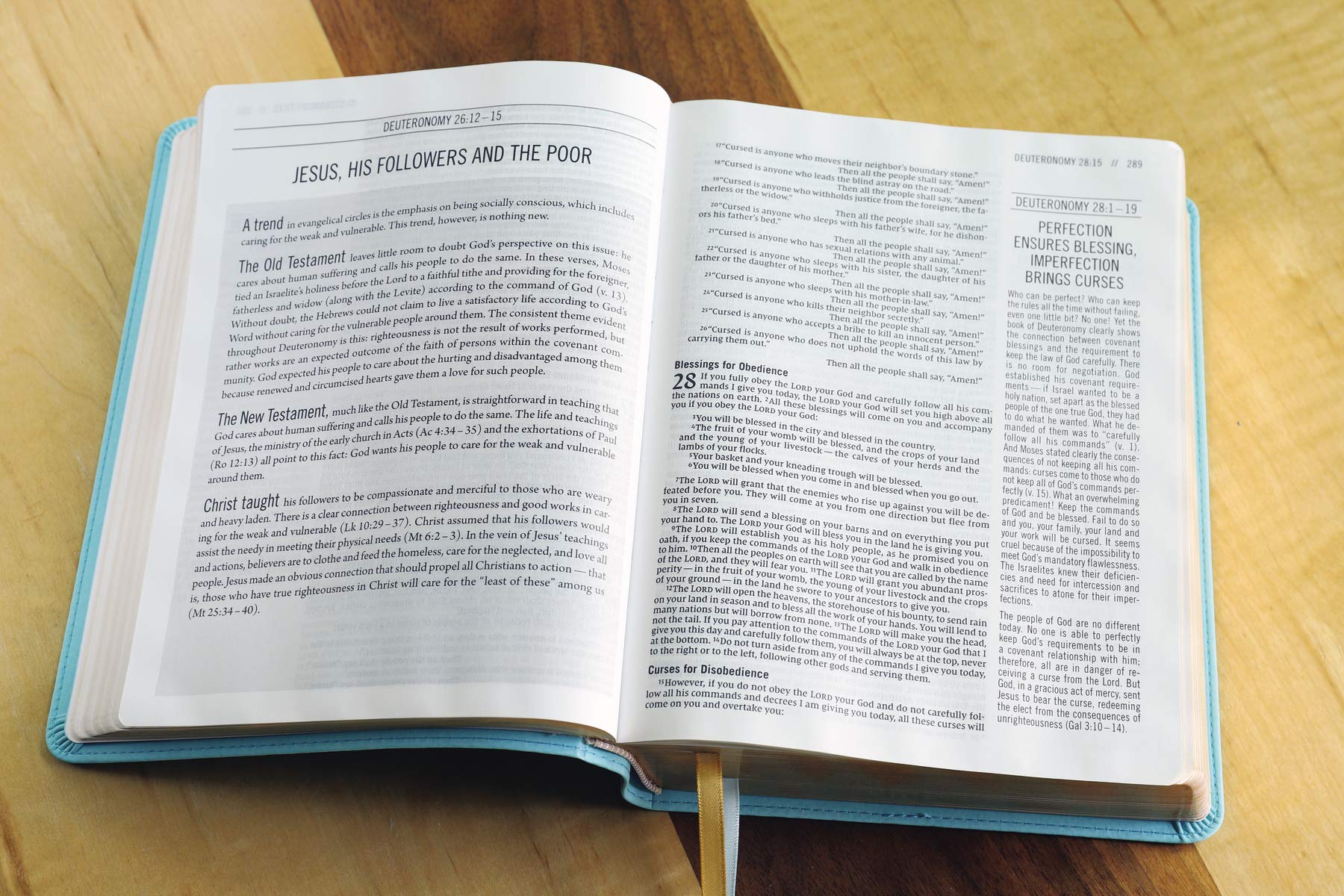 NIV, The Jesus Bible, Hardcover, Robin's Egg Blue