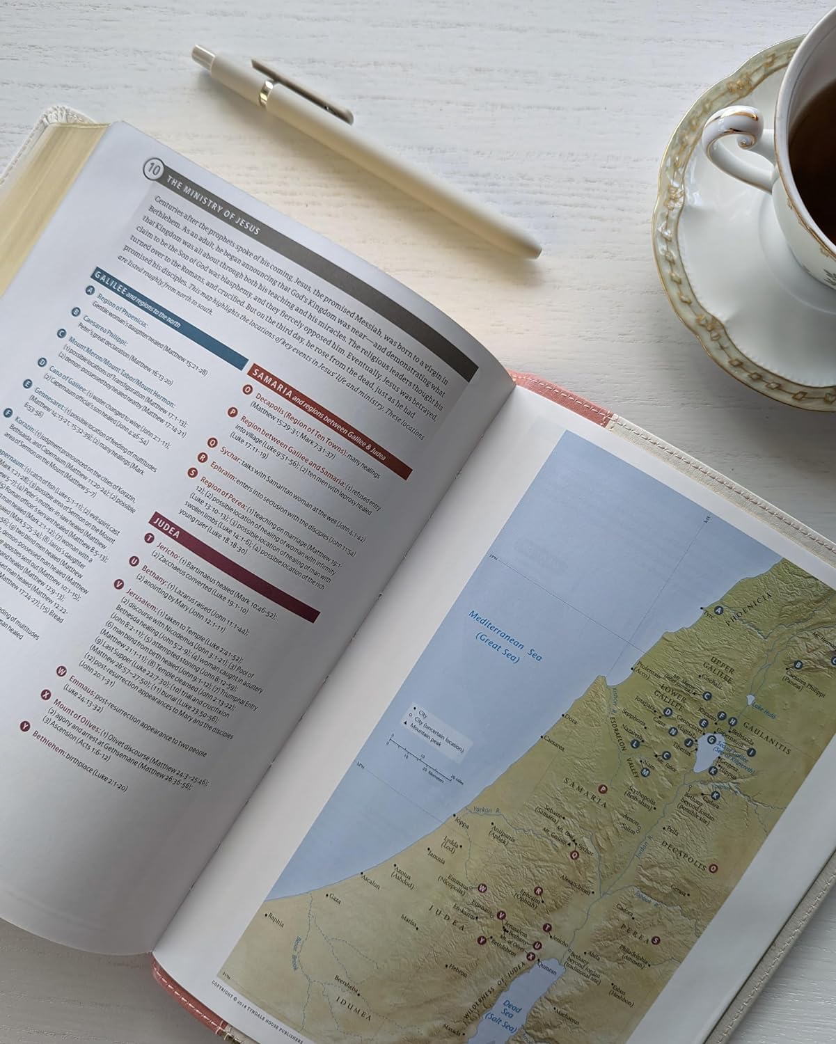 NLT Wide Margin Bible, Filament Enabled Edition