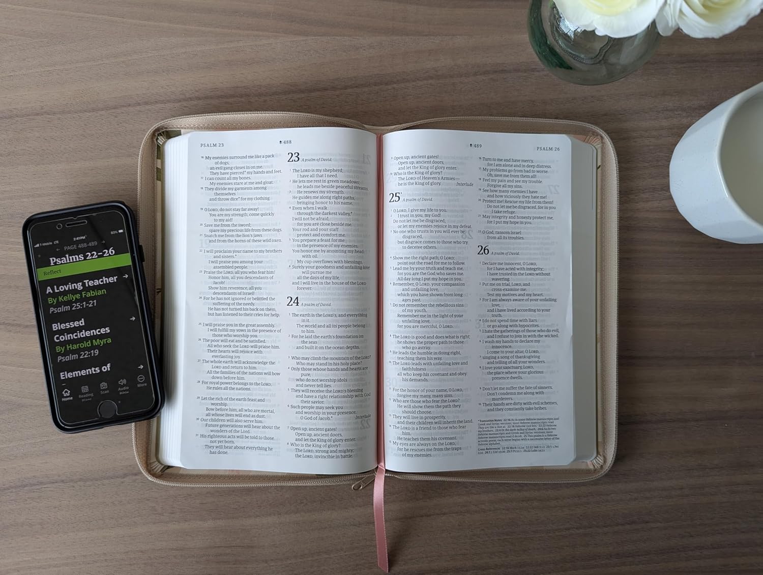 NLT Thinline Reference Zipper Bible, Filament Enabled (LeatherLike, Tender Blossom Taupe, Red Letter)