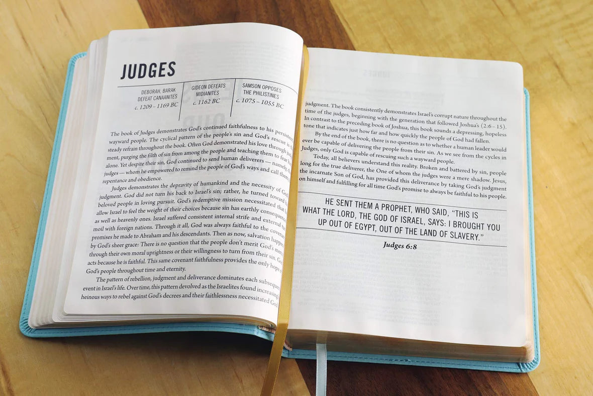 NIV, The Jesus Bible, Hardcover, Robin's Egg Blue