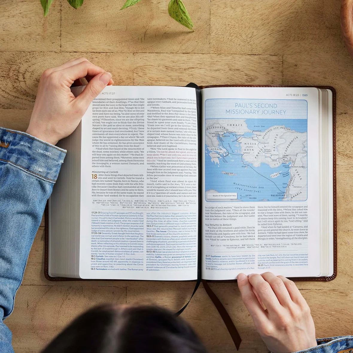 NKJV Kingdom Life Bible, Comfort Print--soft Leathersoft
