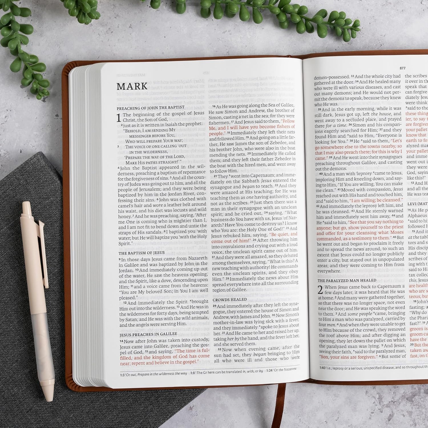 NASB Large Print Thinline Bible, Value Edition, Brown LeatherTouch