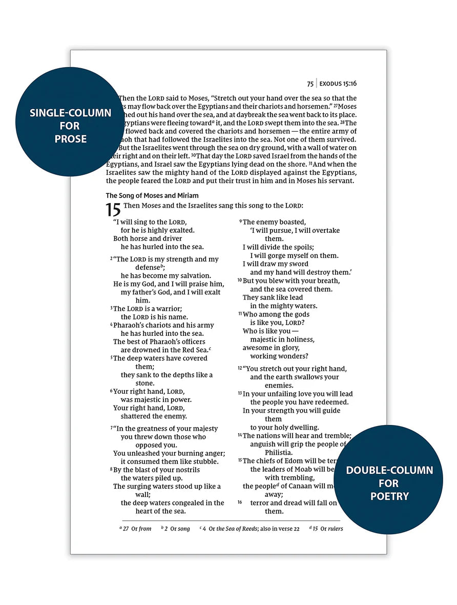 NIV, Thinline Bible, Passaggio Setting, Red Letter Edition, Comfort Print, Brown
