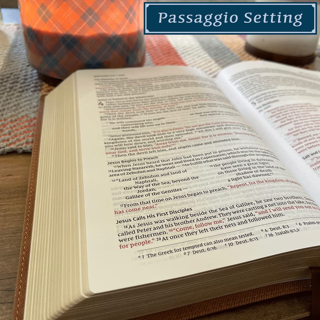 NIV, Thinline Bible, Passaggio Setting, Red Letter Edition, Comfort Print, Brown