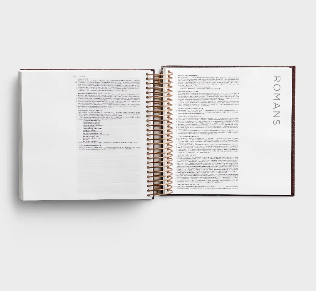 CSB - Illustrating Bible - Cranberry