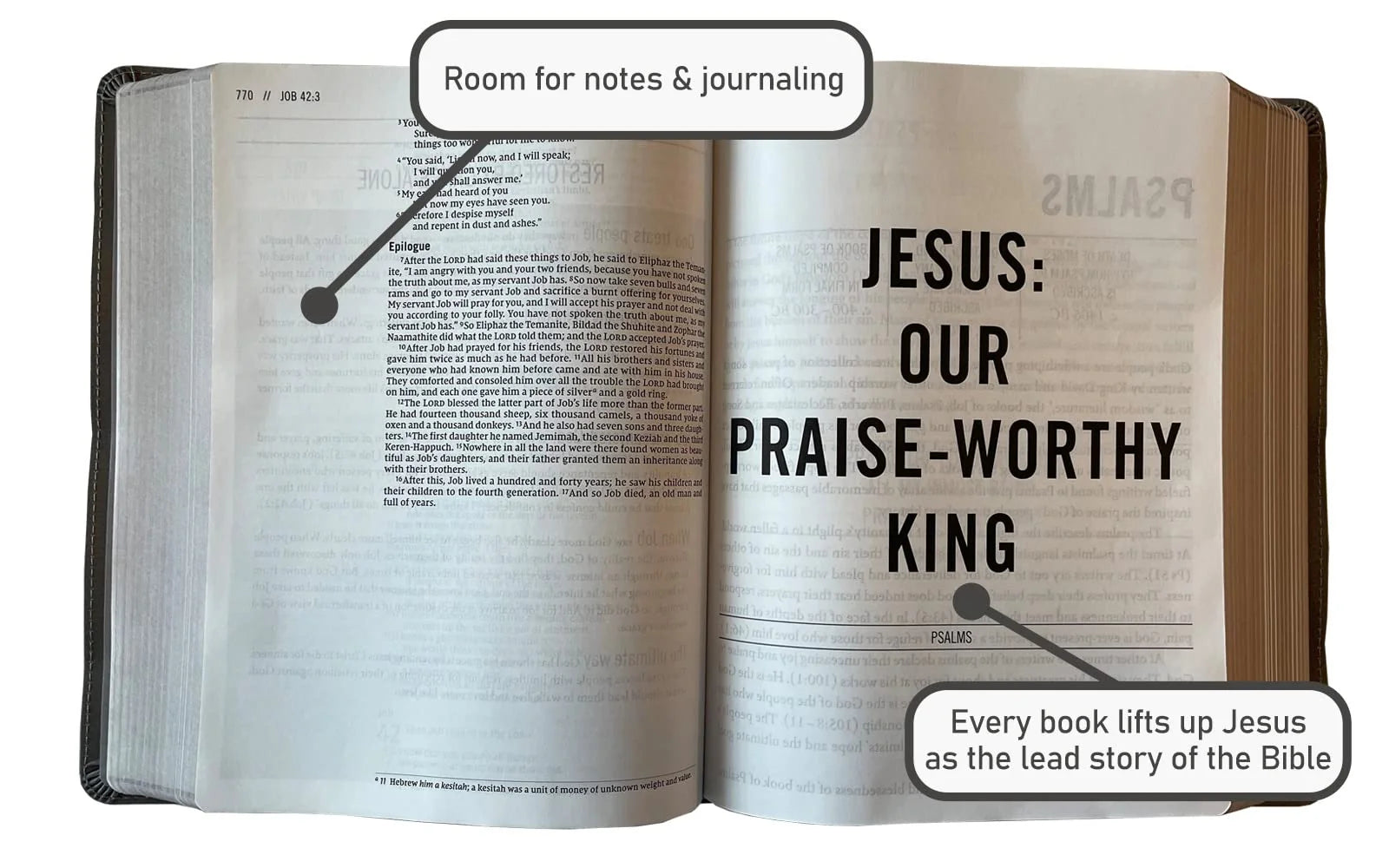 NIV, The Jesus Bible, Hardcover, Robin's Egg Blue