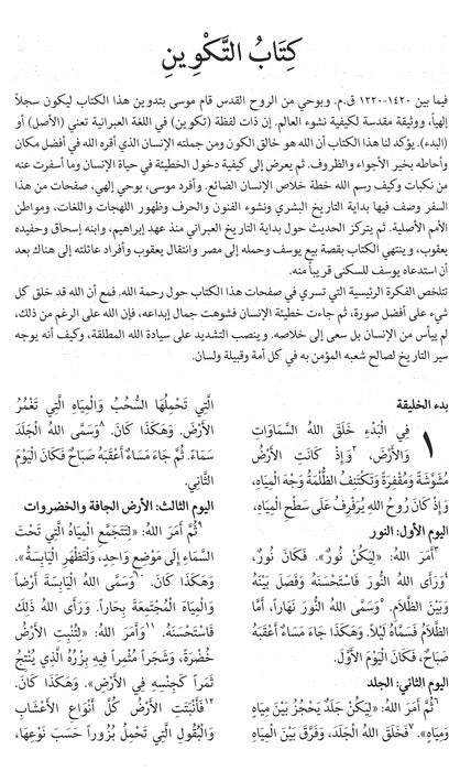 Arabic NAV Bible - Burgundy