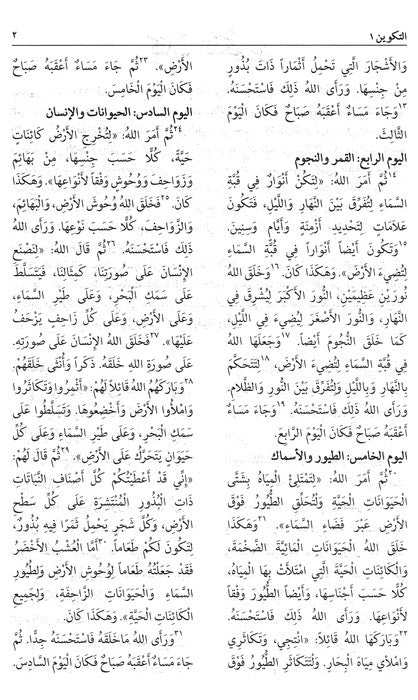 Arabic NAV Bible - Burgundy