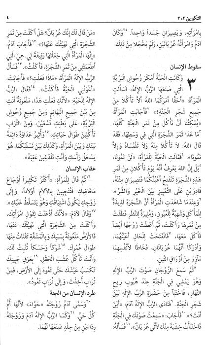 Arabic NAV Bible - Burgundy