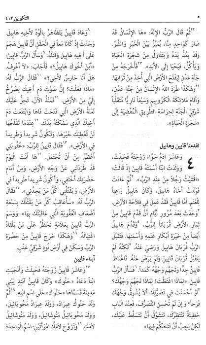 Arabic NAV Bible - Burgundy