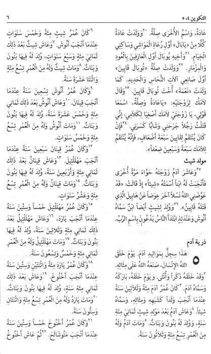 Arabic NAV Bible - Burgundy