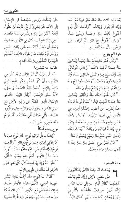 Arabic NAV Bible - Burgundy
