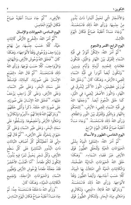 NAV Arabic Contemporary Bible (large print) - Black