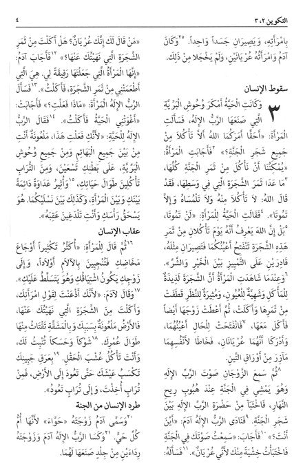 NAV Arabic Contemporary Bible (large print) - Black