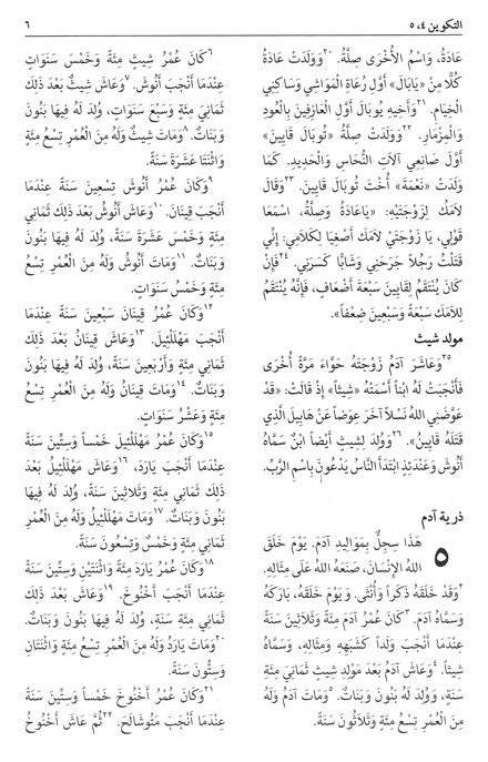 NAV Arabic Contemporary Bible (large print) - Black
