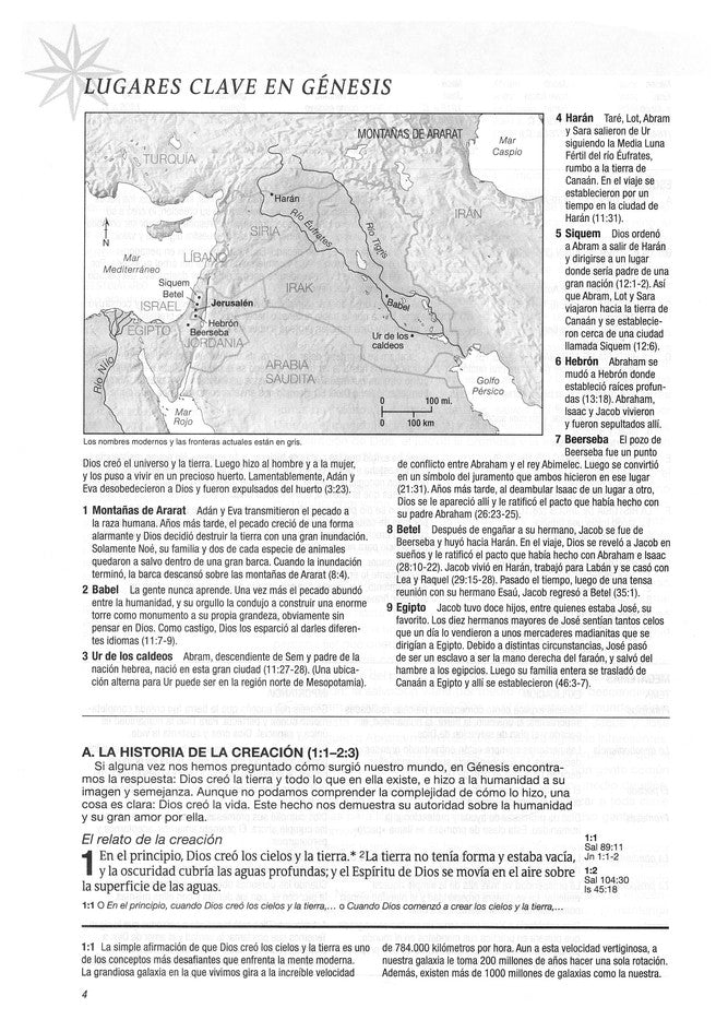 Biblia de estudio del diario vivir NTV, letra grande (Letra Roja, Senti Piel, Café/Café claro) (Spanish Edition) (Spanish) Imitation Leather