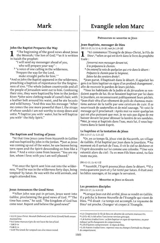 Semeur, NIV, French/English Bilingual Bible, Paperback