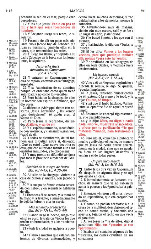 RVR 1960 Biblia de Estudio Scofield, verde oscuro/castanosimil piel con indice