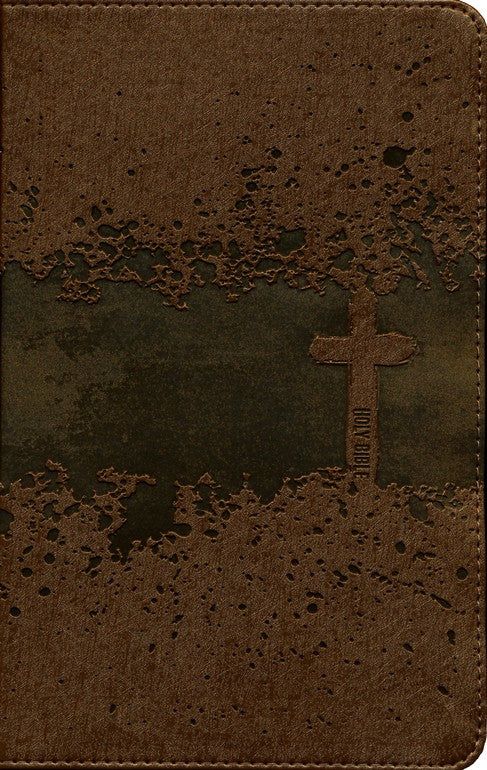 NIV Kids' Visual Study Bible: Explore the Story of the Bible Leathersoft, bronze-indexed