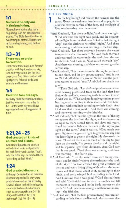 NIV Kids' Visual Study Bible: Explore the Story of the Bible Leathersoft, bronze-indexed