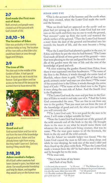 NIV Kids' Visual Study Bible: Explore the Story of the Bible Leathersoft, bronze-indexed