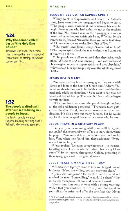 NIV Kids' Visual Study Bible: Explore the Story of the Bible Leathersoft, bronze-indexed