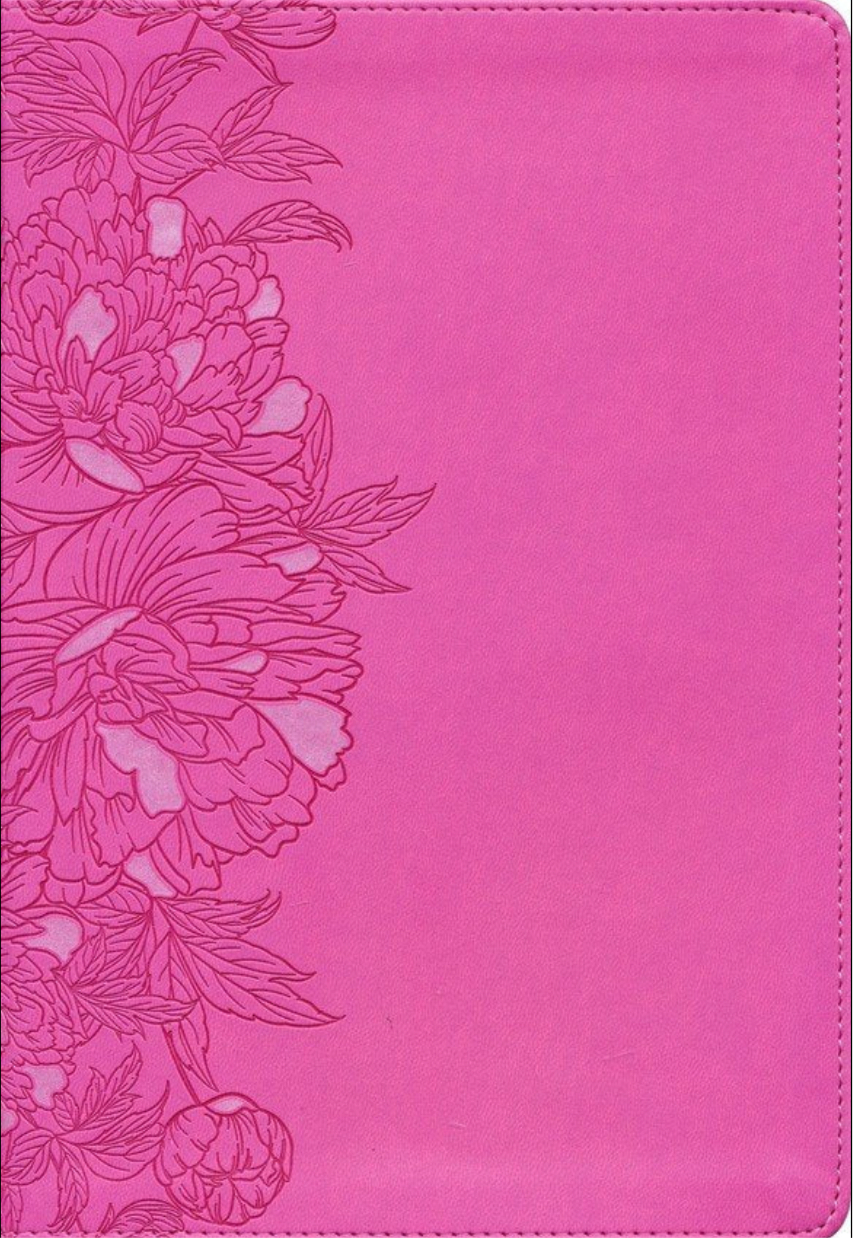 NLT Giant-Print Personal-Size Bible, Filament Enabled Edition--soft LeatherLike Peony/pink