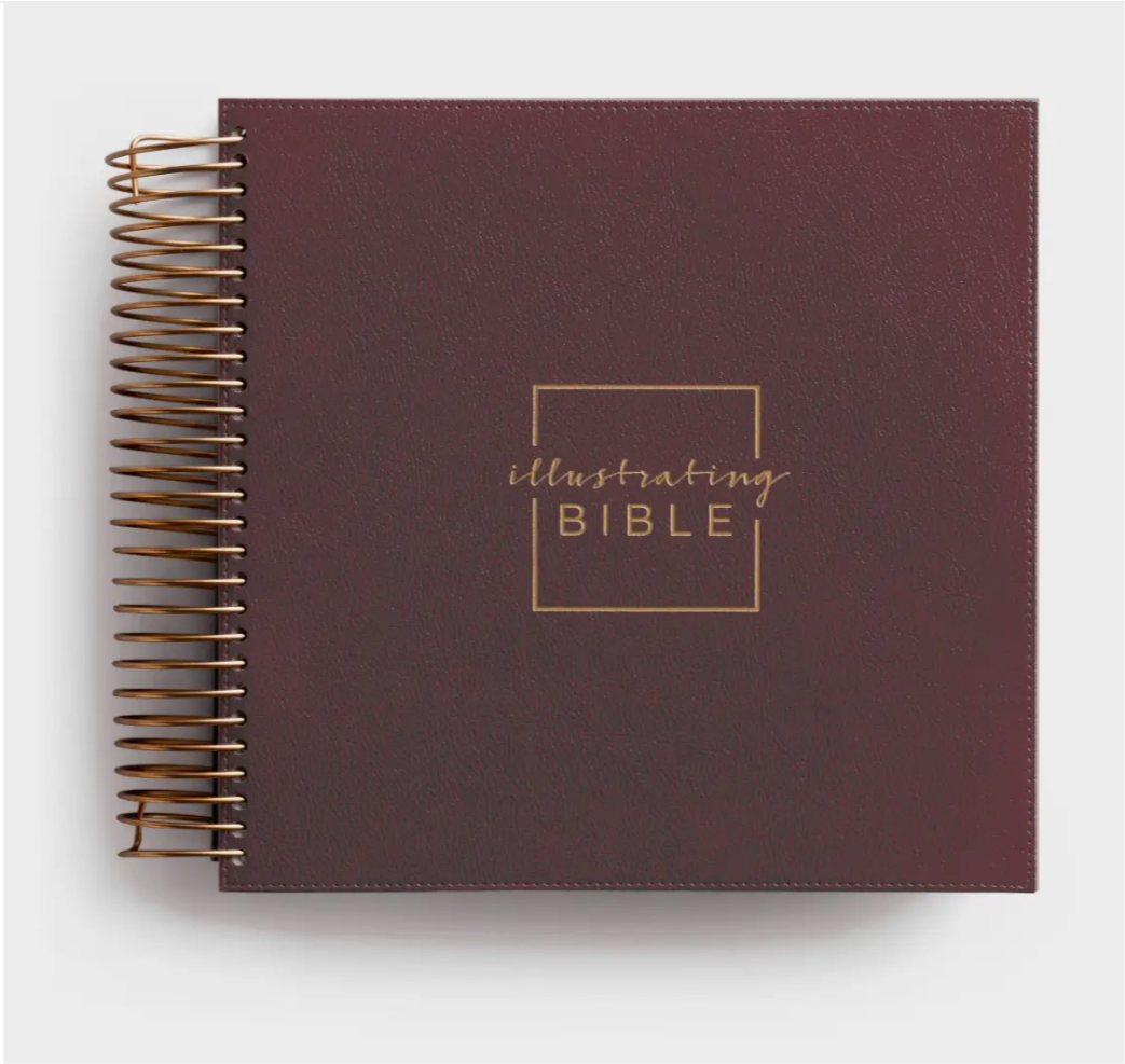 CSB - Illustrating Bible - Cranberry