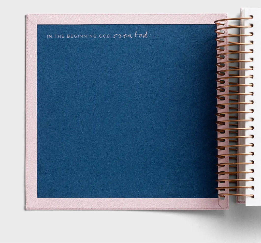 NIV - Illustrating Bible - Pink