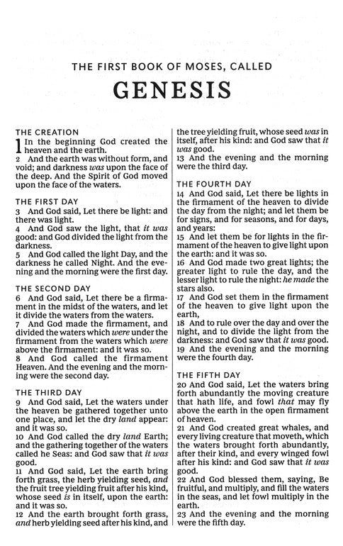 KJV Holy Bible, Larger Print--softcover