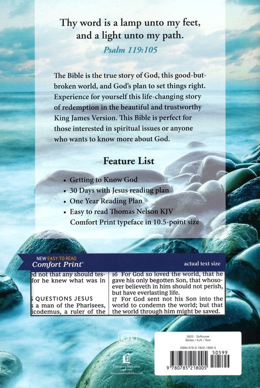 KJV Holy Bible, Larger Print--softcover