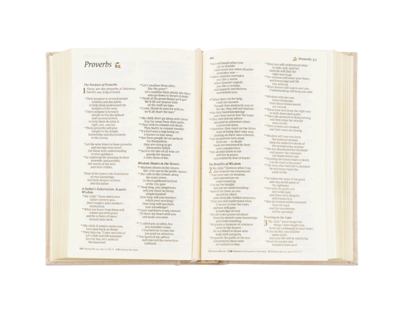 NLT COMPACT BIBLE: CASABLANCA THEME