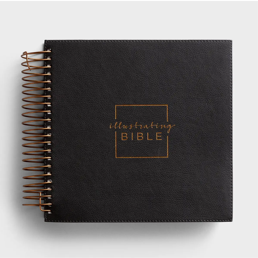 NIV - Illustrating Bible - Dark Gray