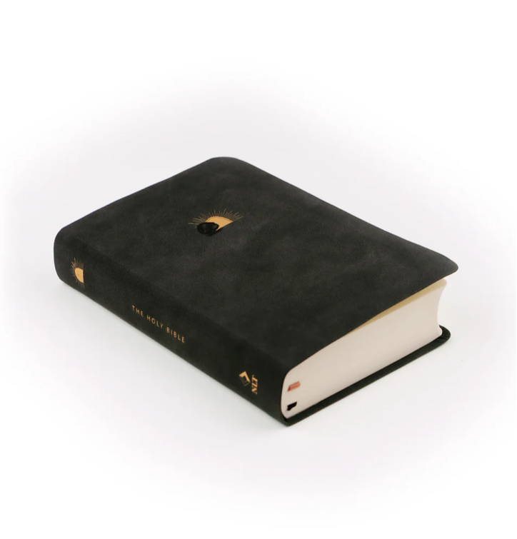 NLT COMPACT BIBLE: JERUSALEM THEME