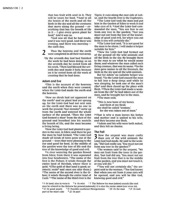 NIV Artisan Collection Bible, Comfort Print--soft leather-look, blue floral