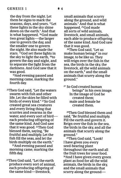 NLT Compact Giant Print Bible, Filament Enabled Edition (Red Letter, LeatherLike, Rose Metallic Peony)
