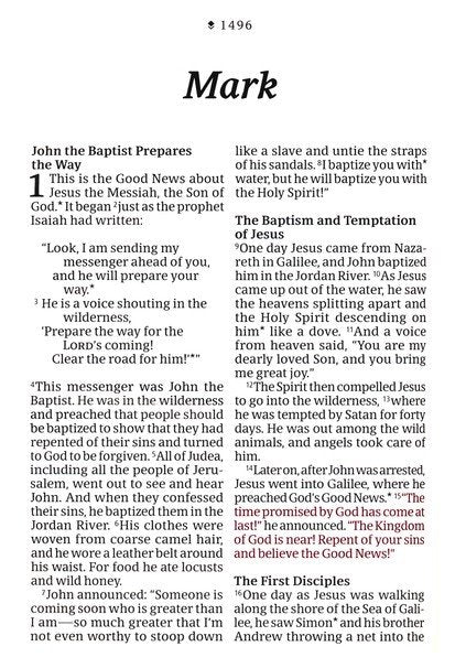 NLT Compact Giant Print Bible, Filament Enabled Edition (Red Letter, LeatherLike, Rose Metallic Peony)