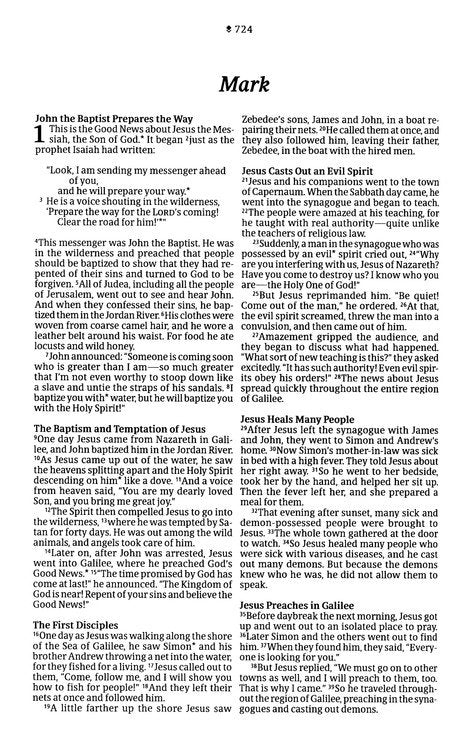 NLT Premium Value Thinline Bible, Filament-Enabled--soft leather-look, dusty pink vines