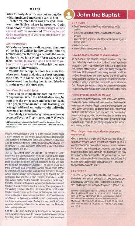 NLT Student Life Application Study Bible, Filament Enabled-LeatherLike, Ombre Pink, Red Letter (Copy)