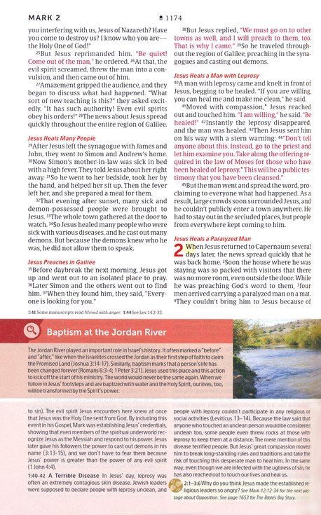 NLT Student Life Application Study Bible, Filament Enabled-LeatherLike, Ombre Pink, Red Letter (Copy)