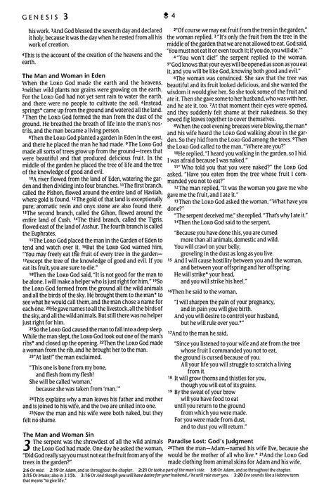 NLT Premium Gift Bible, Filament Enabled LeatherLike